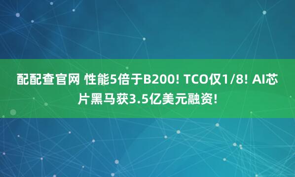 配配查官网 性能5倍于B200! TCO仅1/8! AI芯片黑马获3.5亿美元融资!