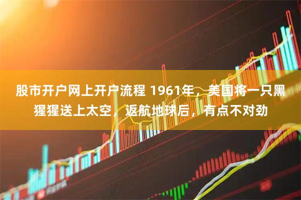 股市开户网上开户流程 1961年，美国将一只黑猩猩送上太空，返航地球后，有点不对劲