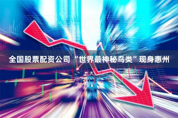 全国股票配资公司 “世界最神秘鸟类”现身惠州